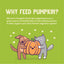Weruva Pumpkin Patch Up  Puréed Pumpkin Supplement 80g