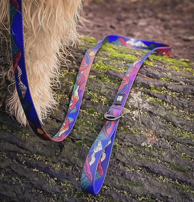 Woof & Stuff - Midnight Sun Waterproof Leash - 1" - 6 Ft