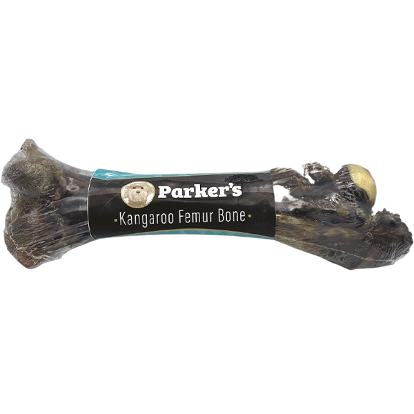 Parker's Kangaroo Femur Bone
