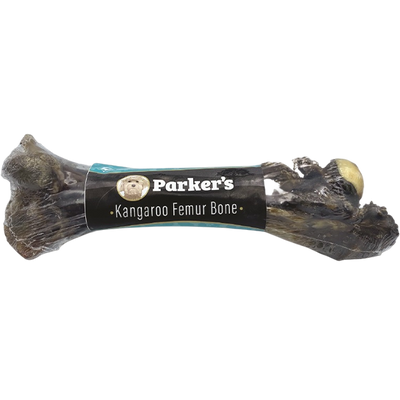 Parker's Kangaroo Femur Bone