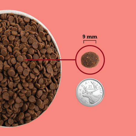 Acana High Protein Indoor Cat 1.8kg