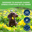 Granville Pet Treatery Stress! Whaddya Mean I'm Stressed! - Nutra Bites Calming Supplement For Dogs 240g