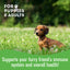Granville Pet Treatery Stress! Whaddya Mean I'm Stressed! - Nutra Bites Calming Supplement For Dogs 240g