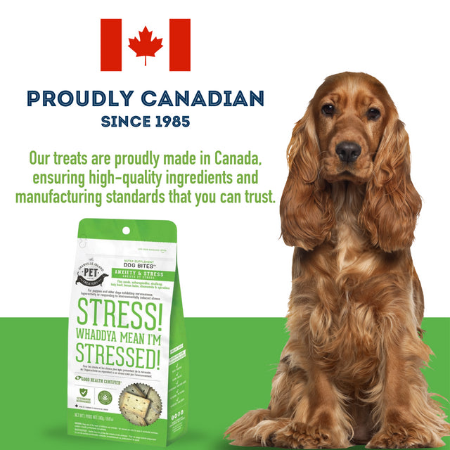 Granville Pet Treatery Stress! Whaddya Mean I'm Stressed! - Nutra Bites Calming Supplement For Dogs 240g