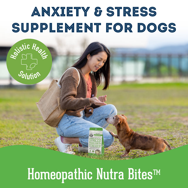 Granville Pet Treatery Stress! Whaddya Mean I'm Stressed! - Nutra Bites Calming Supplement For Dogs 240g