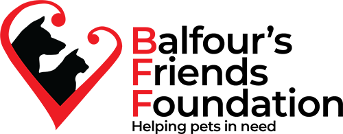Balfour's Friends Foundation Calendar