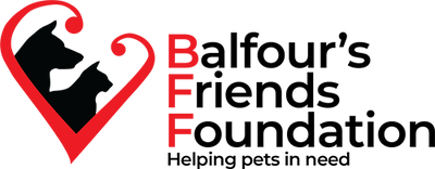 Balfour's Friends Foundation Calendar