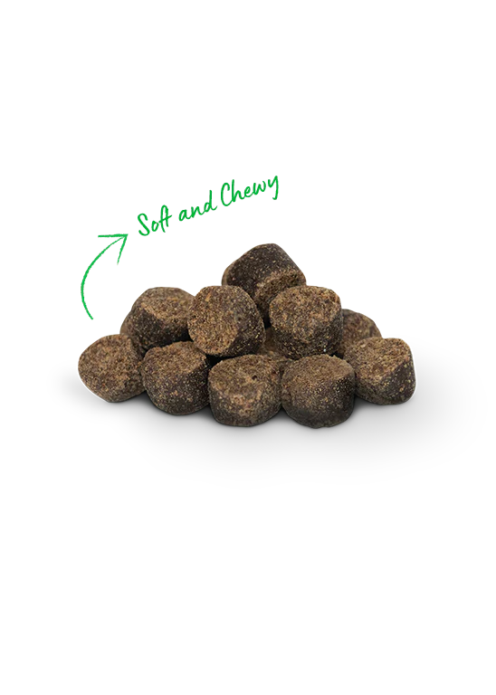 Open Farm Be Good Bites Plant & Pumpkin Treats 170g
