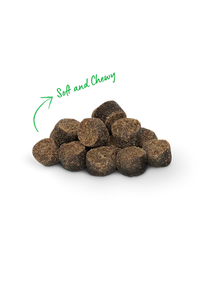 Open Farm Be Good Bites Plant & Pumpkin Treats 170g