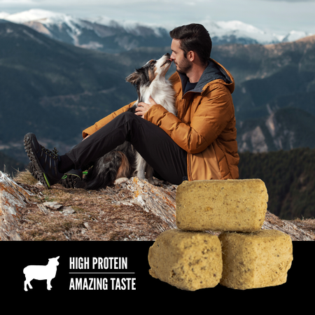 Orijen Freeze Dried Dog Treats Lamb Recipe 92g