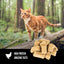 Orijen Freeze Dried Cat Treats Original Recipe 35g