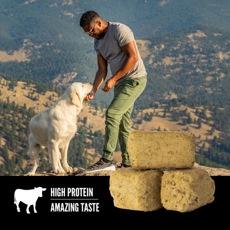 Orijen Freeze Dried Dog Treats Beef Recipe 92g