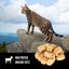 Orijen Freeze Dried Cat Treats Tundra Recipe 35g