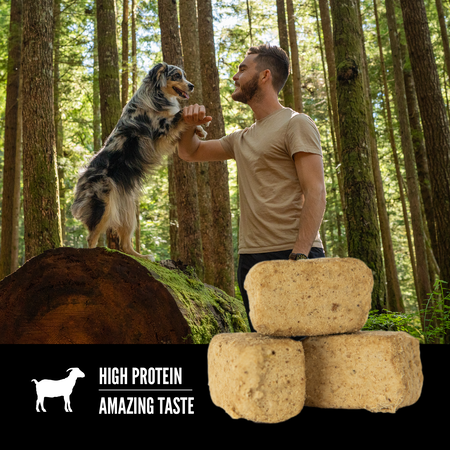 Orijen Freeze Dried Dog Treats Tundra Recipe 92g