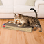 Kong Naturals Double Catnip Scratcher