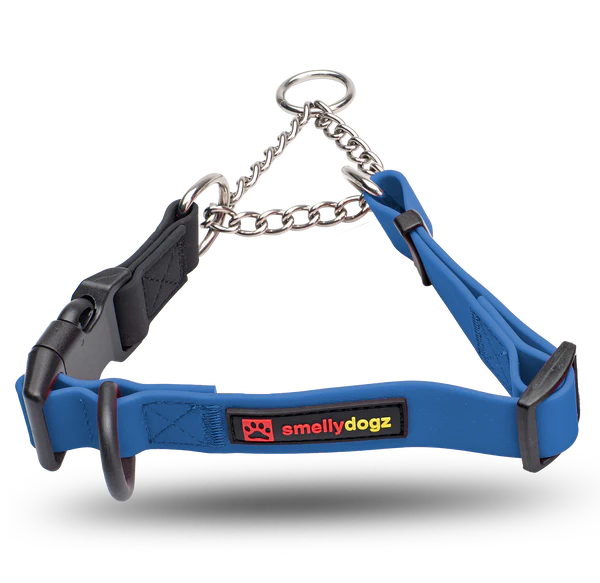 Smellydogz Medium/Large Martingale Collar - Blue