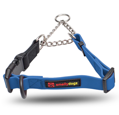 Smellydogz Medium/Large Martingale Collar - Blue
