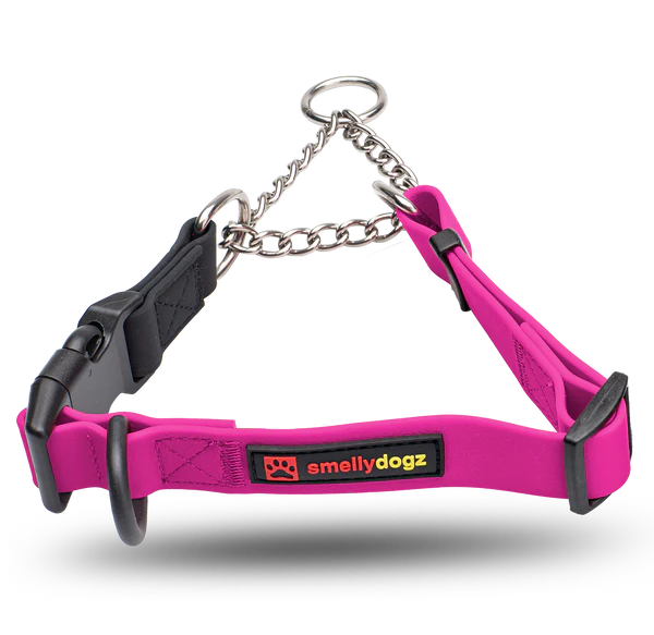 Smellydogz Small/Medium Martingale Collar - Pink