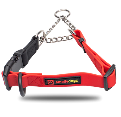 Smellydogz Medium/Large Martingale Collar - Red