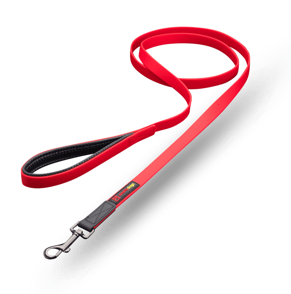 Smellydogz Small 6' Comfort Lead - Red