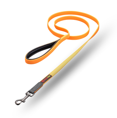 Smellydogz Small 6' Comfort Lead - Orange