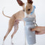 Springer Classic Dog Water Bottle 22oz - Grey