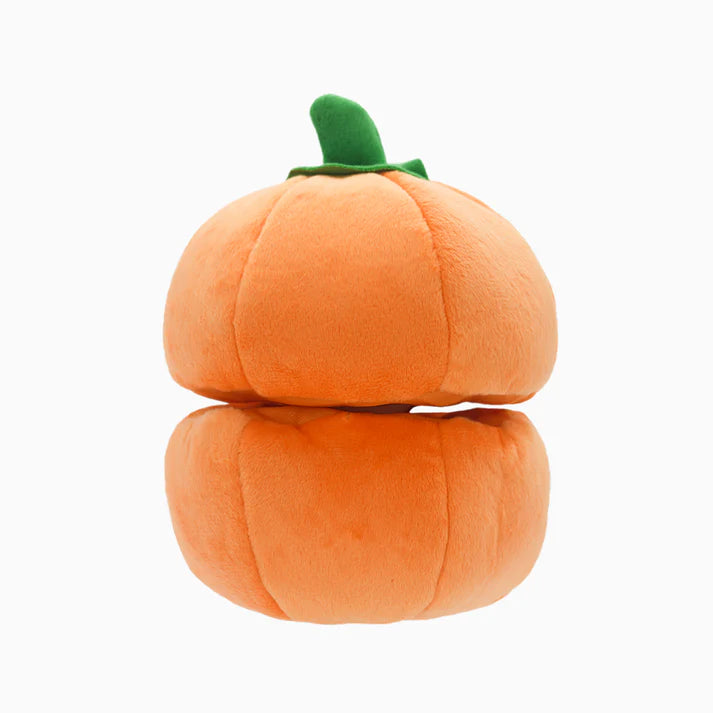 Hugsmart Fruity Critterz - Pumpkin