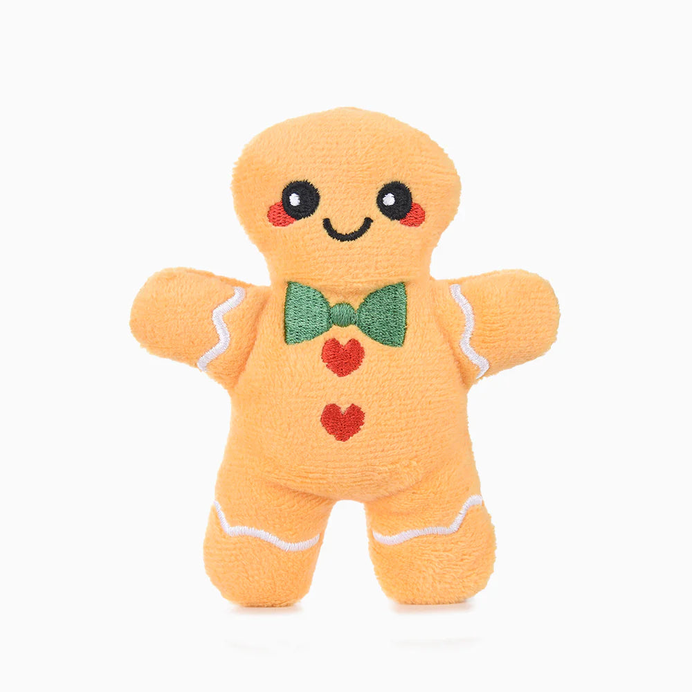 HugSmart Gingerbread Latte