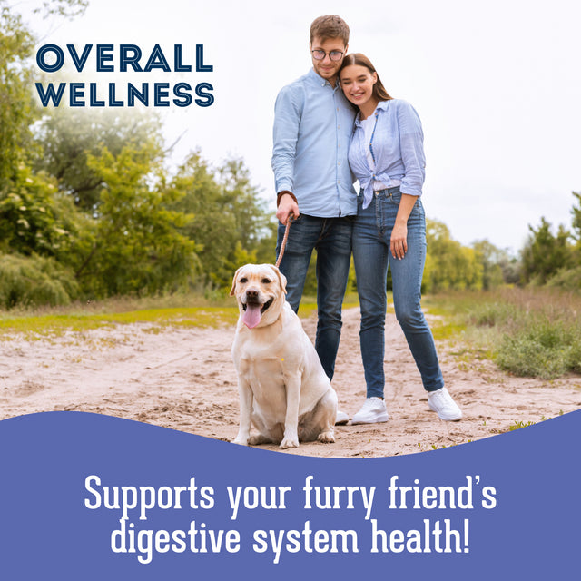 Granville Pet Treatery Eww, I'm Very Gassy (Sorry) - Nutra Bites Digestion Supplement For Dogs 240g