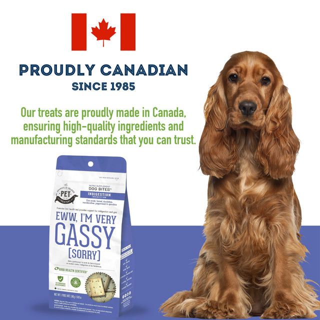 Granville Pet Treatery Eww, I'm Very Gassy (Sorry) - Nutra Bites Digestion Supplement For Dogs 240g