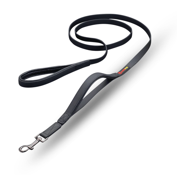 Smellydogz 6' Double Handle Lead - Black