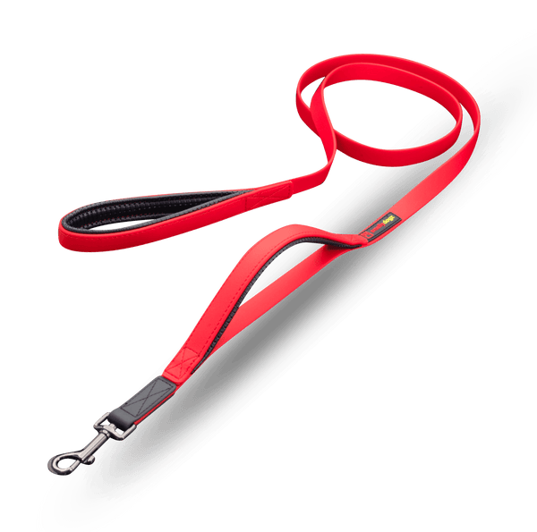 Smellydogz 6' Double Handle Lead - Red