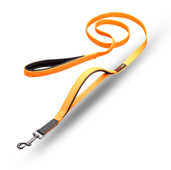 Smellydogz 6' Double Handle Lead - Orange