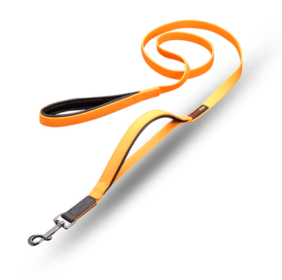 Smellydogz 6' Double Handle Lead - Orange