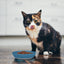 Ecoware Non Skid Cat Dish