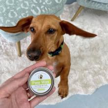 Eco-Pup Paw Wax 1oz