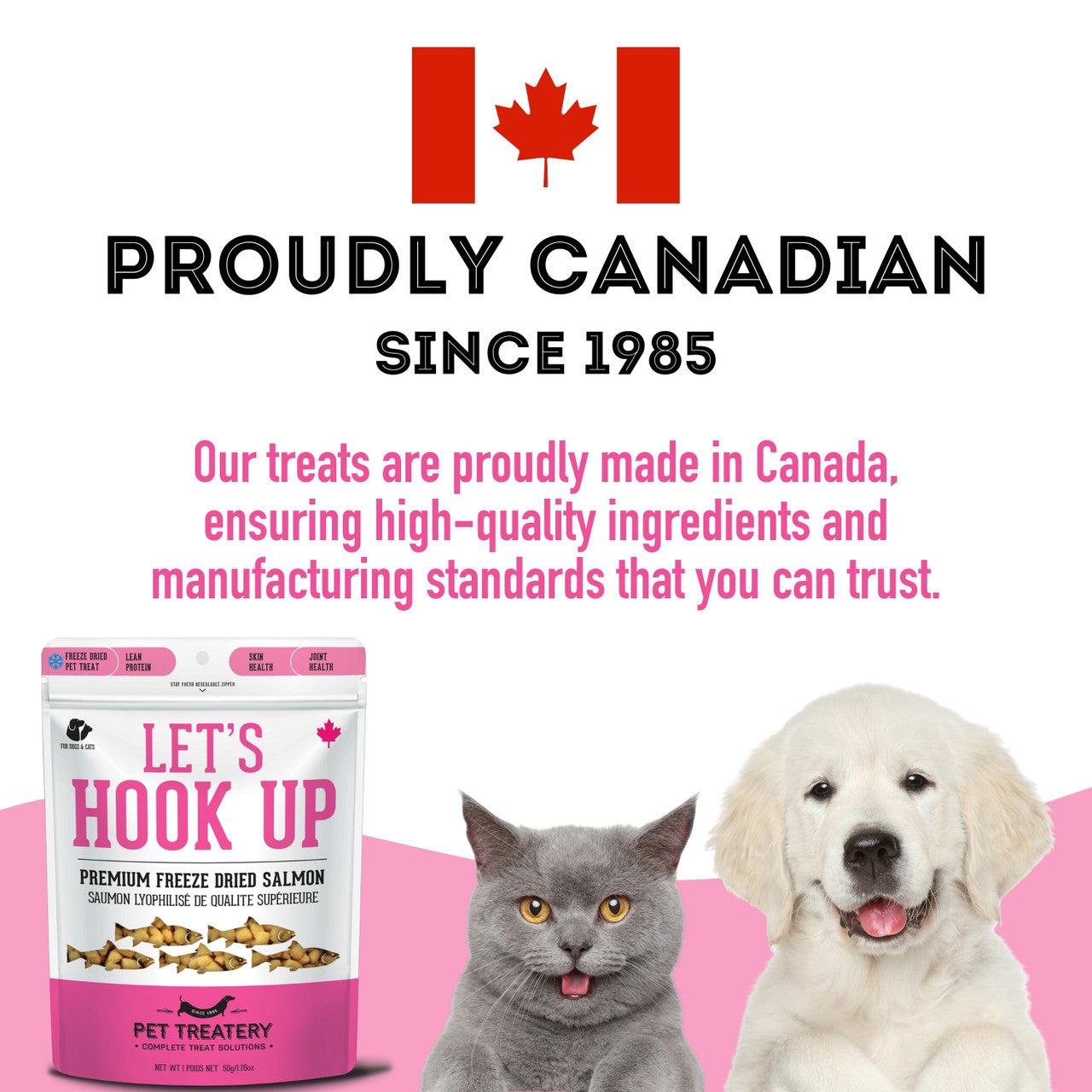 Granville Pet Treatery Let's Hook Up - Premium Freeze Dried Salmon Treat For Dogs & Cats 50g
