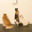 Cat Dancer Cat Charmer Geometric