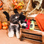 HugSmart - Howloween Night - Mystery Potion
