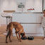 Hunter Dog Melamine Kimberley Large White Feeding Bowl