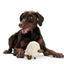 Hunter Dog Snuggly Sheep