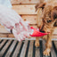 Hunter Dog Outdoor Drinking Bottle