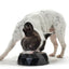 Hunter Dog Melamine Kimberley Large White Feeding Bowl