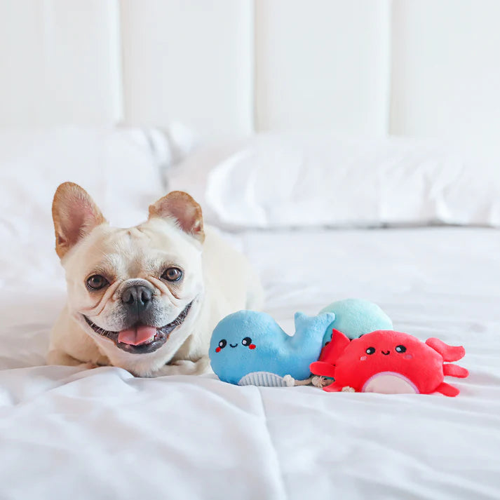 HugSmart - Ocean Pals - Sea Creatures