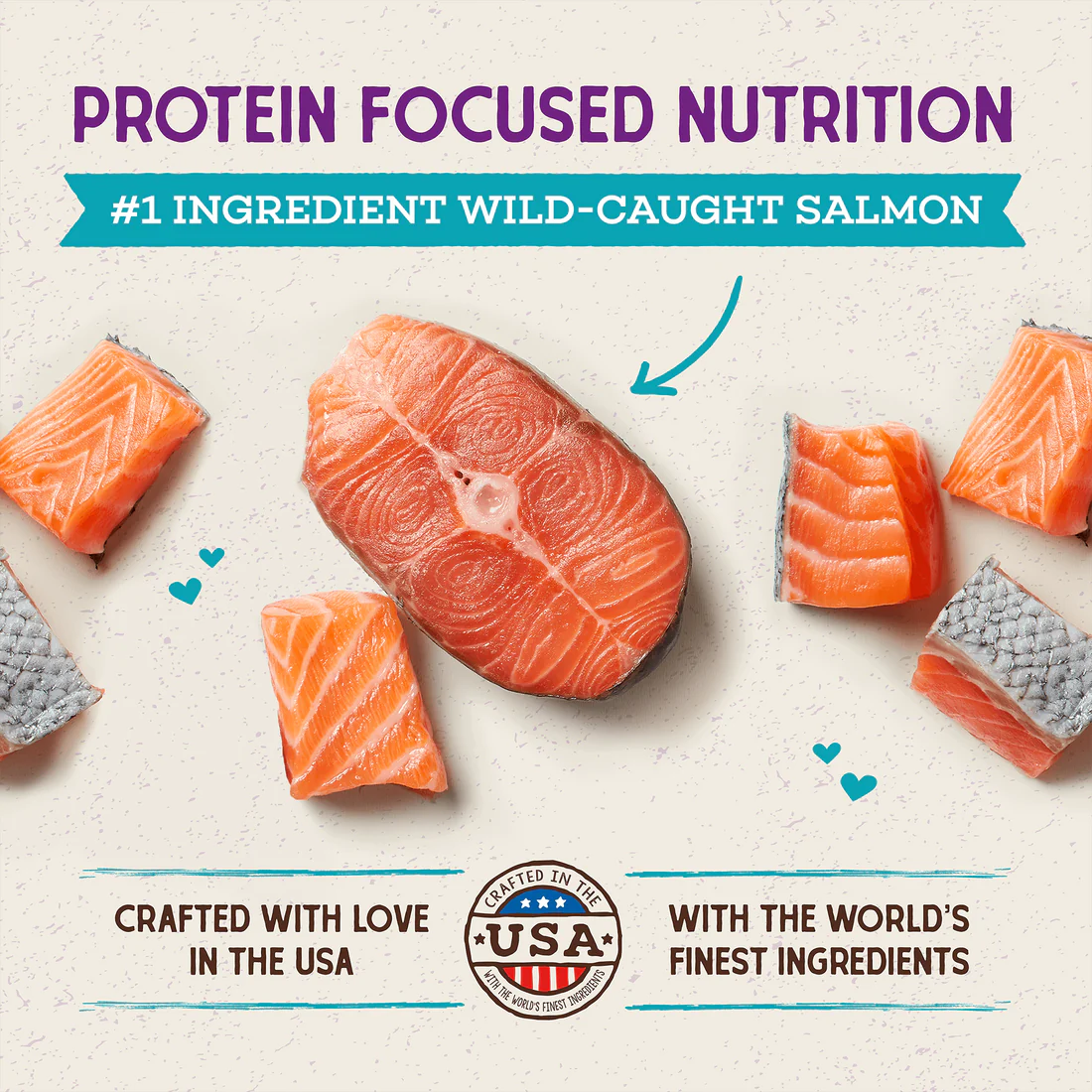 Stella & Chewy's Raw Coated Kibble Wild-Caught Salmon Recipe 5lb