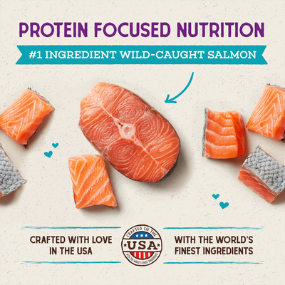Stella & Chewy's Raw Coated Kibble Wild-Caught Salmon Recipe 5lb