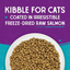 Stella & Chewy's Raw Coated Kibble Wild-Caught Salmon Recipe 5lb