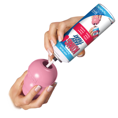 Kong Puppy Small