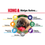 Kong Puppy Medium