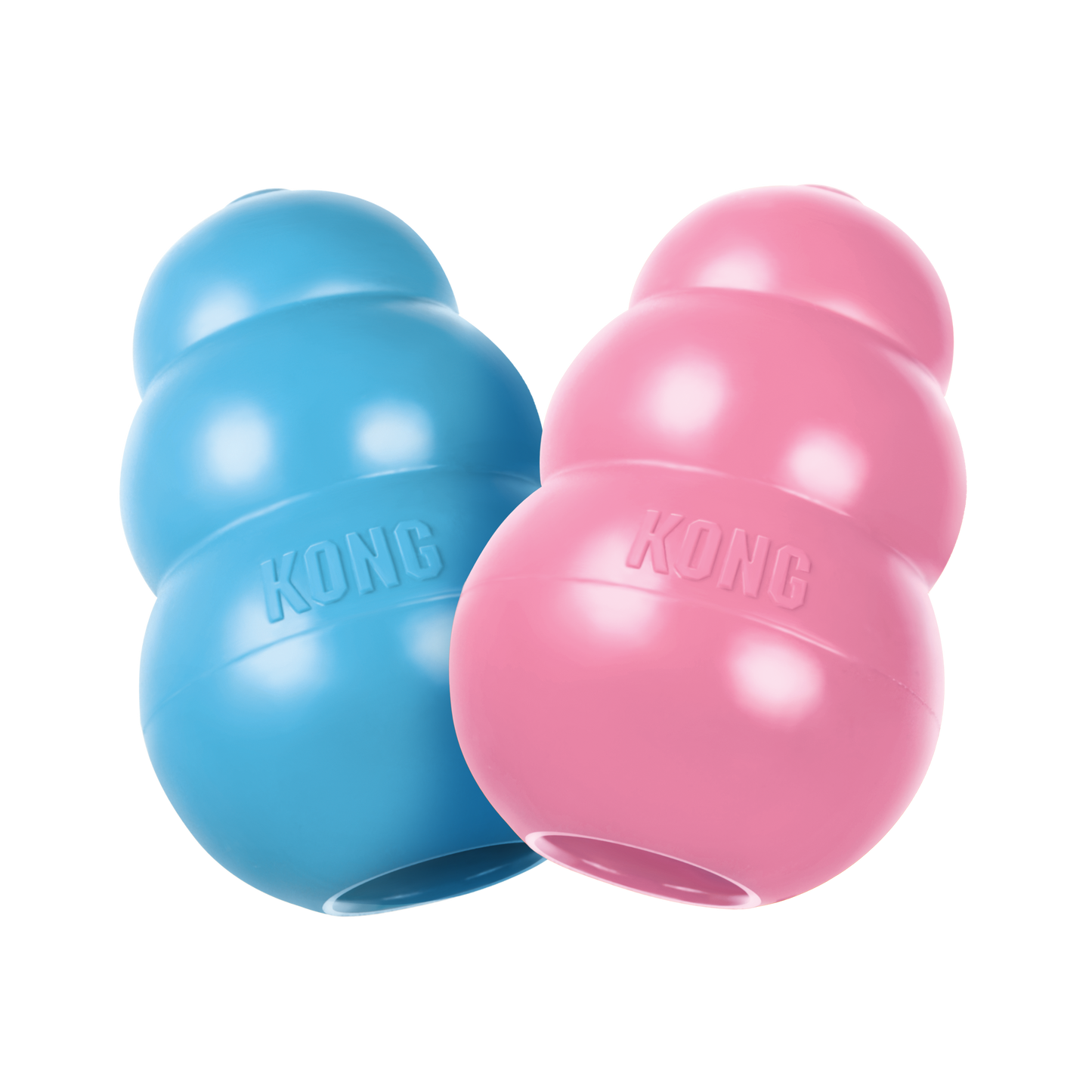 Kong Puppy Medium